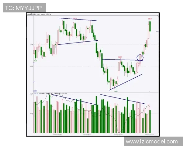 上海排球队防守策略解析：从技术到心理的全面深度剖析